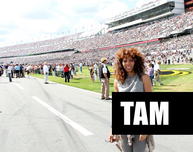 tam nascar all turns no brakes