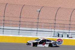 Kevin harvick las vegas mortor speedway nascar