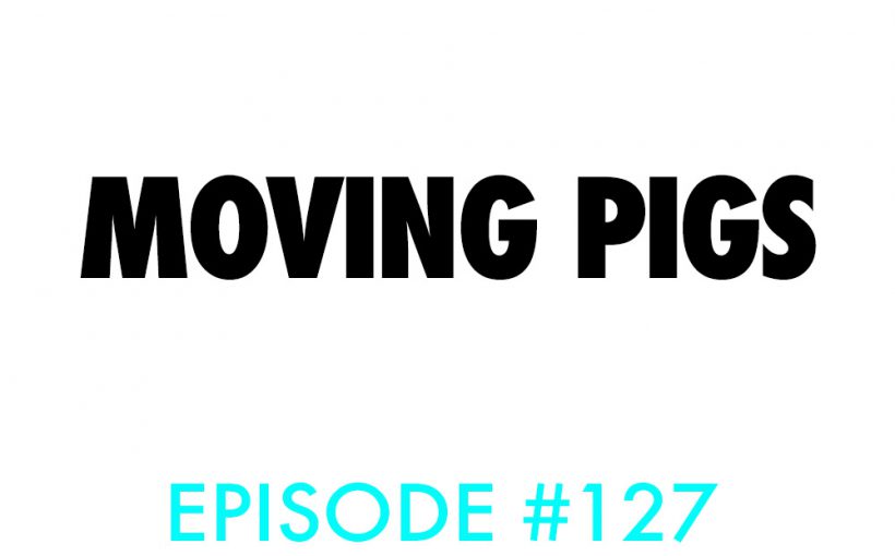 Atnb nascar podcast moving pigs