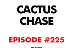 Atnb cactus chase