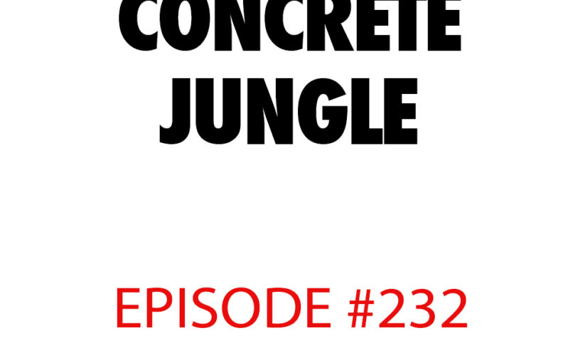 Atnb concrete jungle